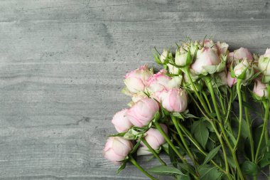 Gri desenli arka planda güzel gül çiçekleri