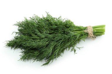 Taze yeşil dereotu beyaz arkaplanda izole edildi