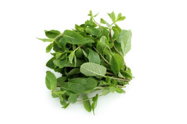 Beyaz arkaplanda izole edilmiş taze yeşil nane