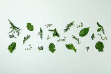 Beyaz arka planda taze bitkiler, üst görünüm