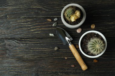 Kırsal ahşap arka planda bahçecilik kavramı