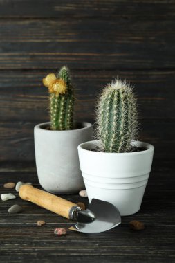 Kırsal ahşap arka planda bahçecilik kavramı