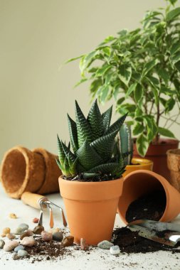 Beyaz desenli masa üzerinde bahçe yapma kavramı