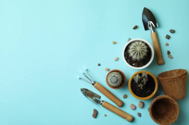 Mavi arkaplanda bahçıvanlık kavramı, metin için boşluk