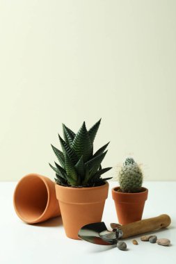 Beyaz masadaki bahçıvanlık kavramı, metin için boşluk