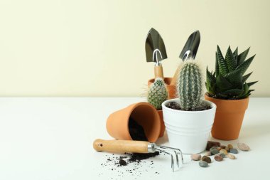 Beyaz masadaki bahçıvanlık kavramı, metin için boşluk