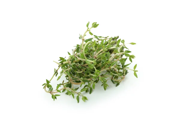 Green Thyme Herb Isolated White Background — Stock Photo, Image