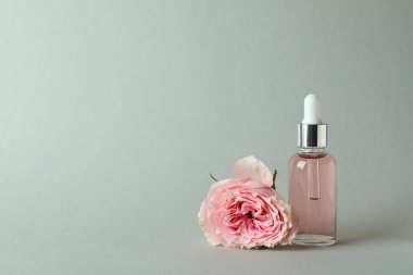 Gül özü yağlı bir şişe ve açık gri arka planda gül