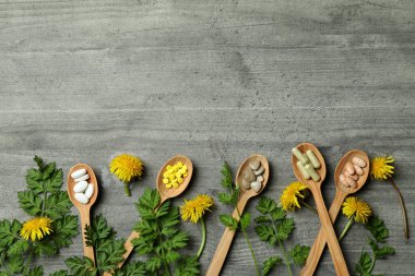 Gri dokuda bitkisel ilaç hapları kavramı, metin için boşluk