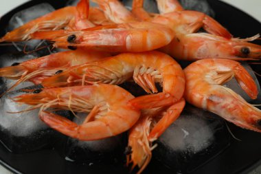 Lezzetli karides ve buz küpleri, yakın çekim.