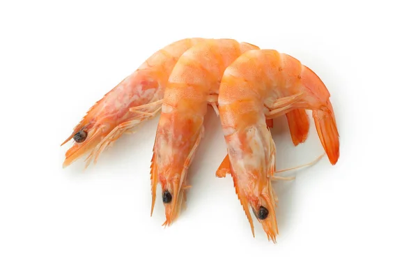 Crevettes Cuites Savoureuses Isolées Sur Fond Blanc — Photo