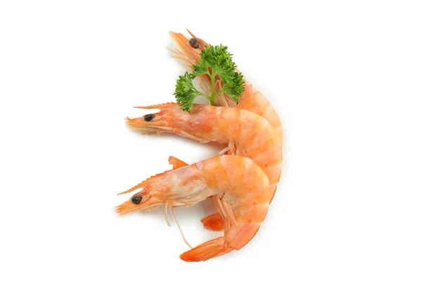 Tasty Cooked Shrimps Isolated White Background — Stock Photo, Image
