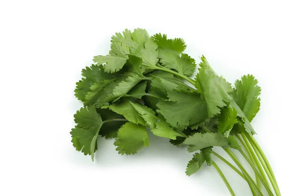 Fresh Green Parsley Isolated White Background — Stock Photo, Image