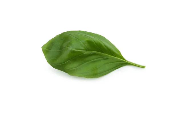 Fresh Green Basil Isolated White Background — Stock Photo, Image
