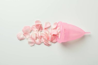 Beyaz arka planda taç yaprakları olan pembe adet bardağı.