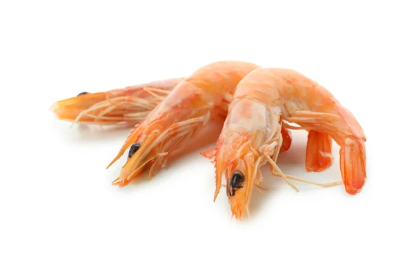 Tasty Cooked Shrimps Isolated White Background — Stock Photo, Image