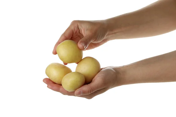 Kvinnliga Händer Hålla Ung Potatis Isolerad Vit Bakgrund — Stockfoto