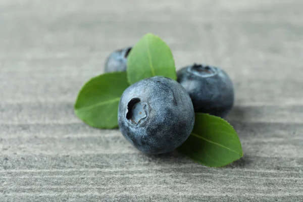 Fresh Blueberry Leaves Gray Textured Background — Stock Photo, Image