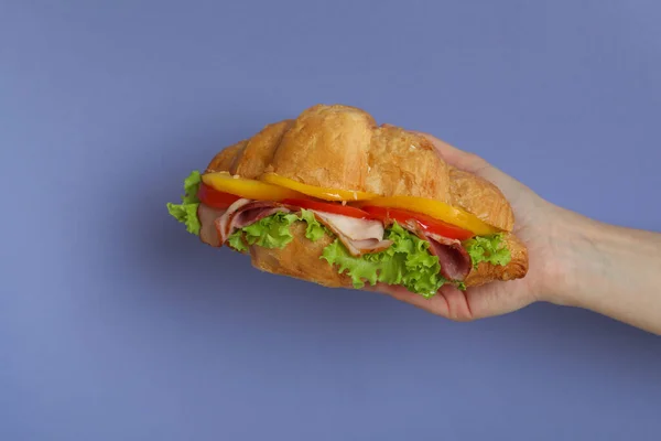 Feminino Mão Segurar Croissant Sanduíche Fundo Violeta — Fotografia de Stock