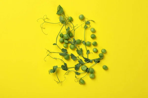 Green Pea Seeds Twigs Yellow Background — Foto de Stock