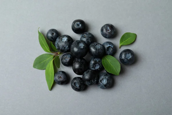 Fresh Blueberry Leaves Gray Background — Stock Photo, Image