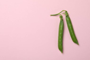 Fresh green pea on pink background, space for text