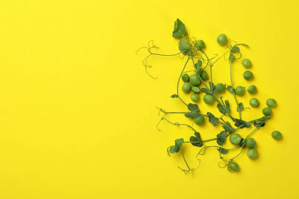 Green Pea Seeds Twigs Yellow Background — Foto de Stock