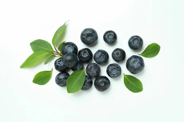 Fresh Blueberry Leaves White Background — Stock Photo, Image