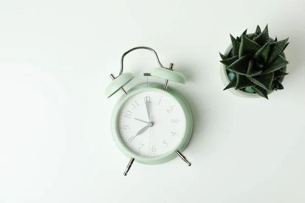 造幣局 目覚まし時計と多肉植物 — ストック写真