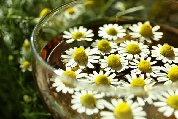 Glass Cup Chamomile Tea Close — Stock Photo, Image