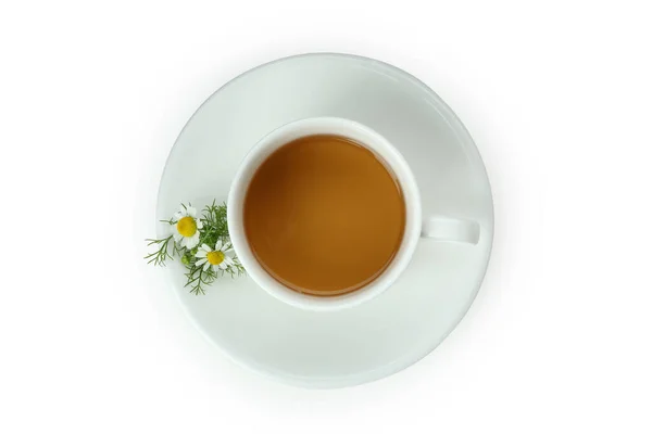 Чашка Чаю Ромашки Ізольована Білому Тлі — стокове фото