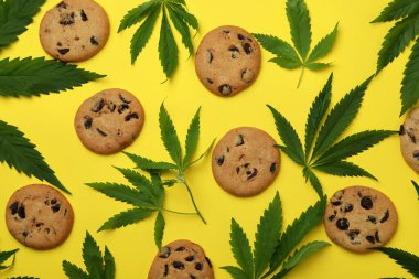 Sarı arka planda esrar kurabiyeleri ve yaprakları