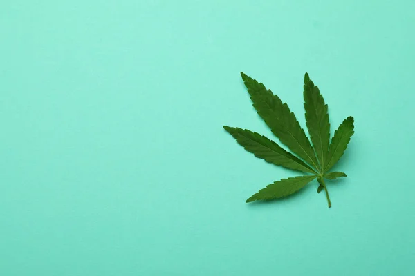 Один Зелений Лист Канабісу Ятному Фоні — стокове фото