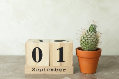 1 Eylül Gri desenli masa konsepti