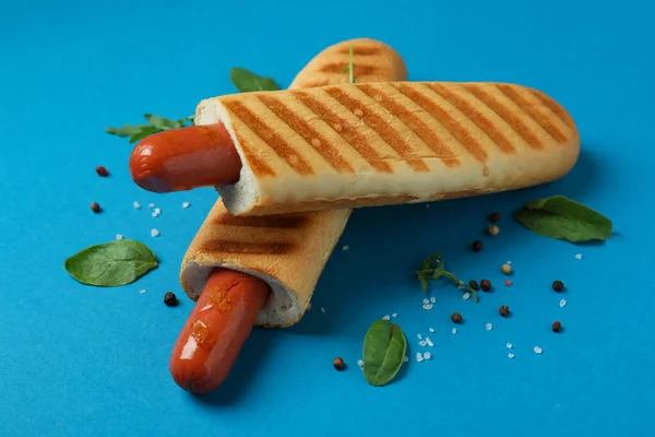 Conceito Comida Saborosa Com Cachorro Quente Francês — Fotografia de Stock