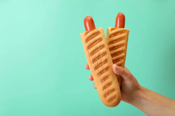 Fogalom Ízletes Étel Francia Hot Dog — Stock Fotó