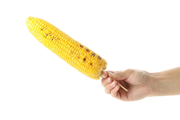 Female Hand Holds Grilled Corn Isolated White Background — Stock Photo, Image