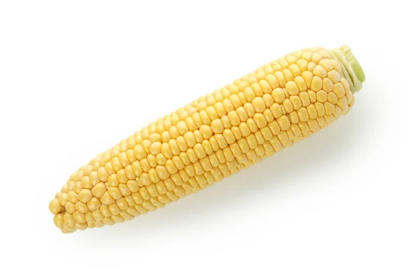 Fresh Raw Corn Isolated White Background — Stock Photo, Image