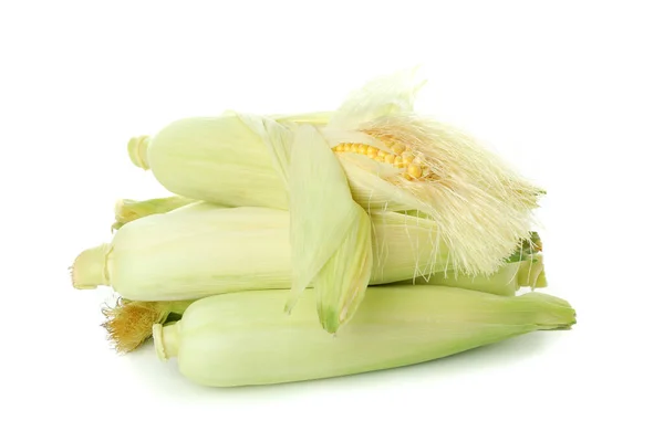 Fresh Raw Corn Isolated White Background — Stock Photo, Image