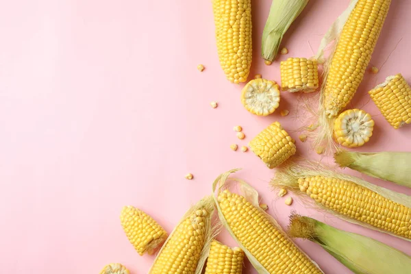 Fresh Raw Corn Pink Background Top View — Stock Photo, Image