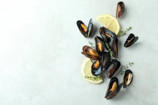 Fresh Mussels White Textured Background Space Text — Stock Photo, Image