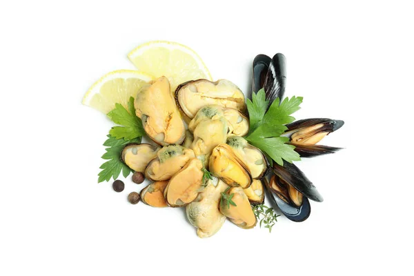 Cozze Fresche Frutti Mare Isolati Sfondo Bianco — Foto Stock