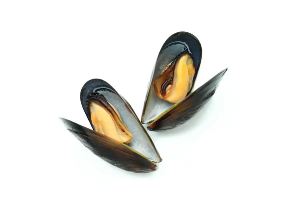 Moules Fraîches Fruits Mer Isolés Sur Fond Blanc — Photo