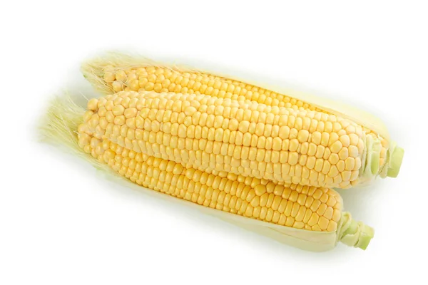 Свежая Сырая Кукуруза Белом Фоне — стоковое фото