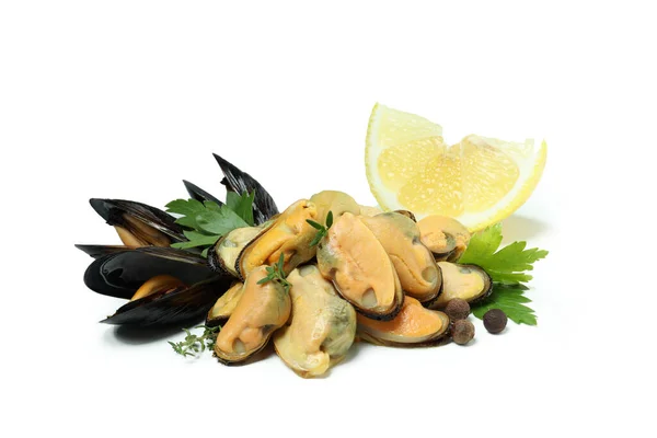 Cozze Fresche Frutti Mare Isolati Sfondo Bianco — Foto Stock