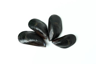 Beyaz arka planda izole edilmiş taze midyeler.