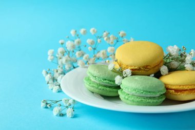 Mavi arka planda badem kurabiyesi olan lezzetli tatlı kavramı.