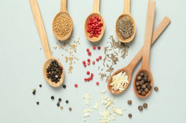 Açık gri arka planda farklı baharatlı tahta kaşıklar.