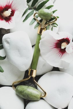 Yüz silindirli ve taşlı cilt bakımı konsepti, kapat