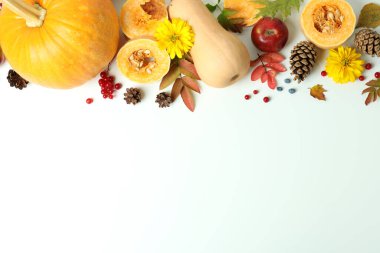 Beyaz arka planda balkabakları olan Şükran Günü kompozisyonu